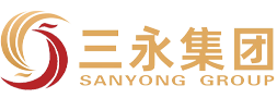 海南三永投资集团